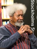 Prof. Wole Soyinka, Nobel Laureate in Literature.