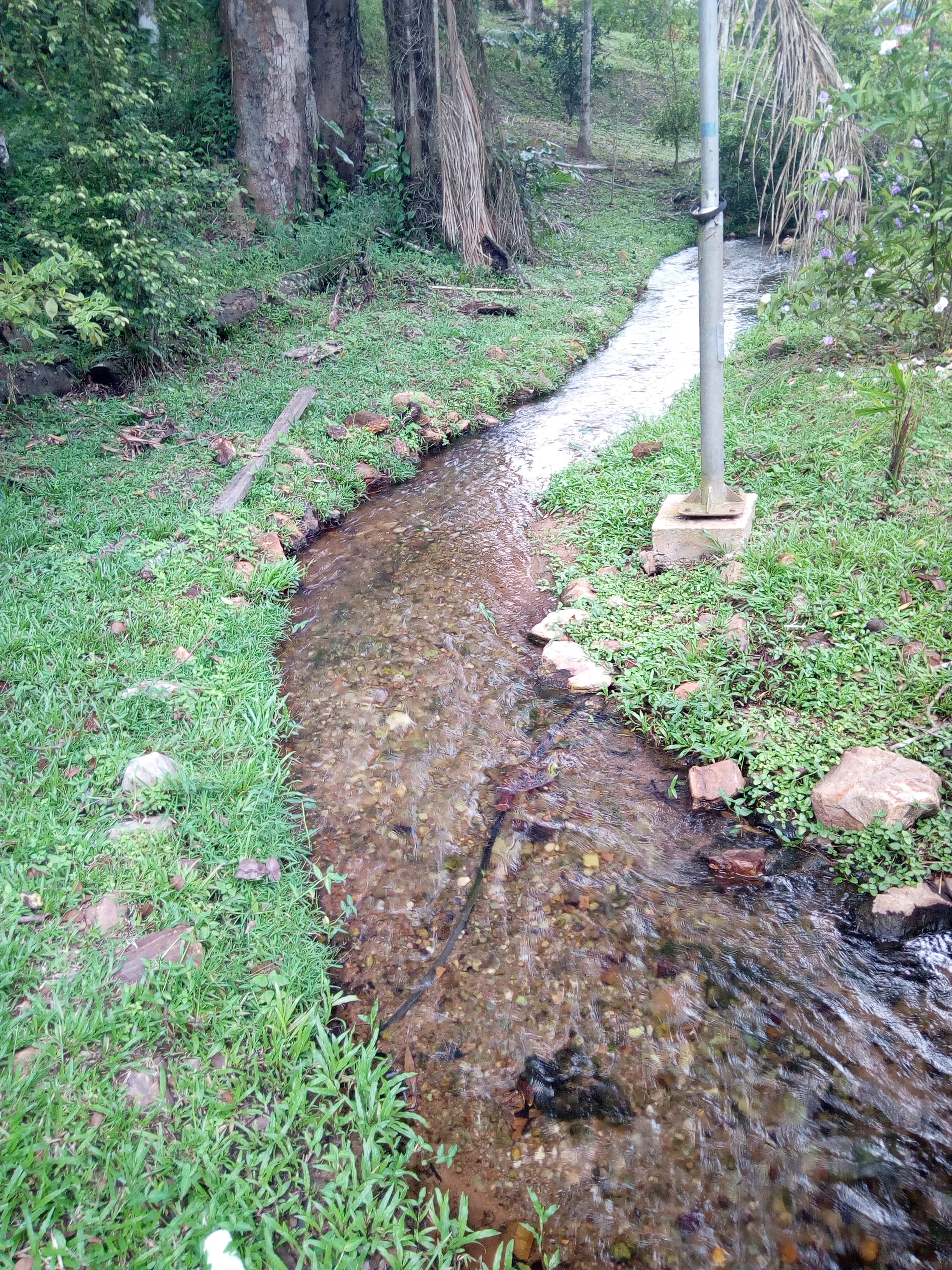 Confluence of cold and warm springs at Ikogosi, Ekiti State